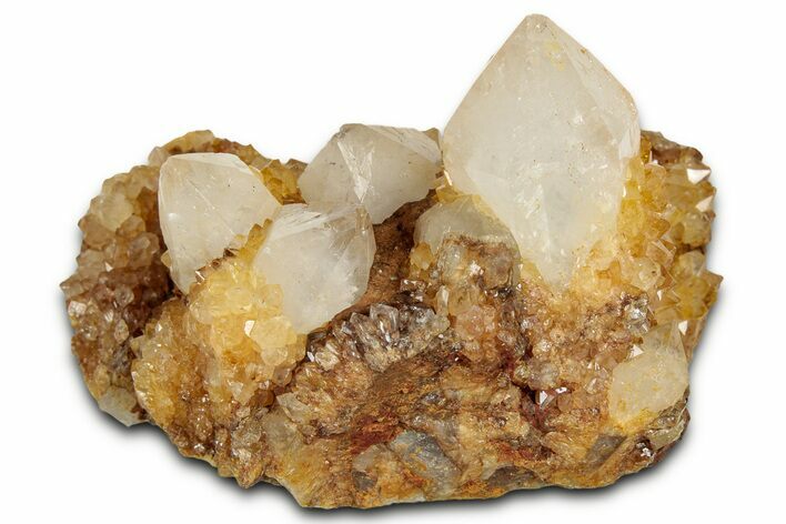 Sunshine Cactus Quartz Crystal Cluster - South Africa #337637